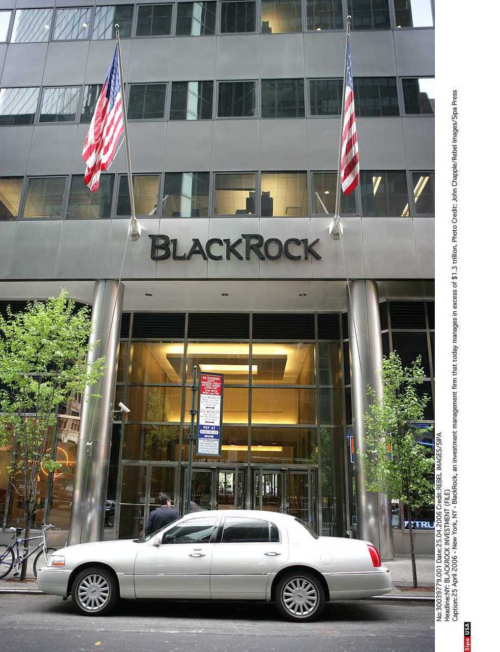 blackrock是什么公司-圖1
