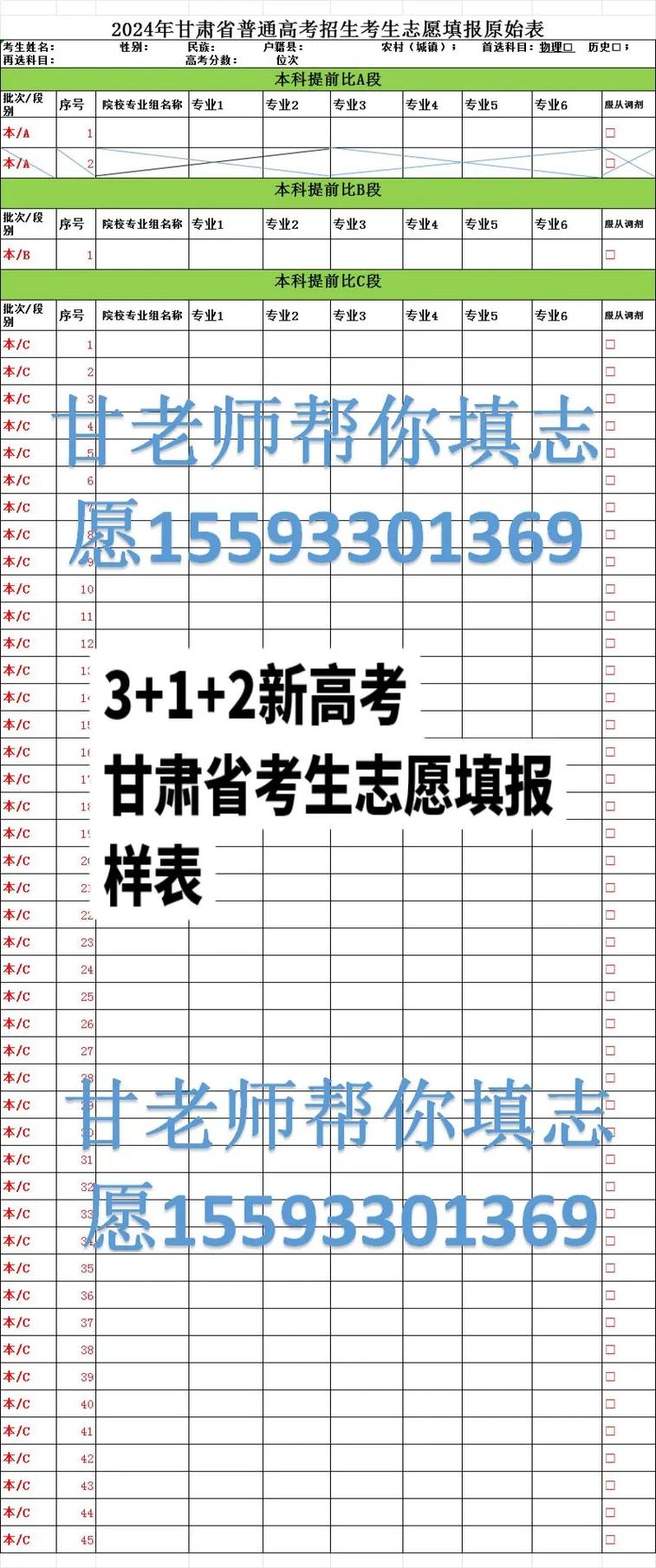 甘肅省高考志愿填報模板-圖1