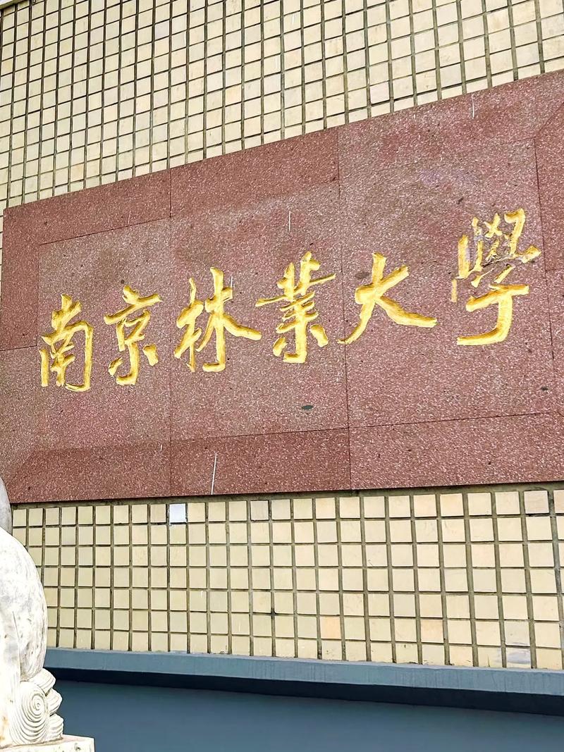 千萬別來南京林業(yè)大學(xué)-圖1