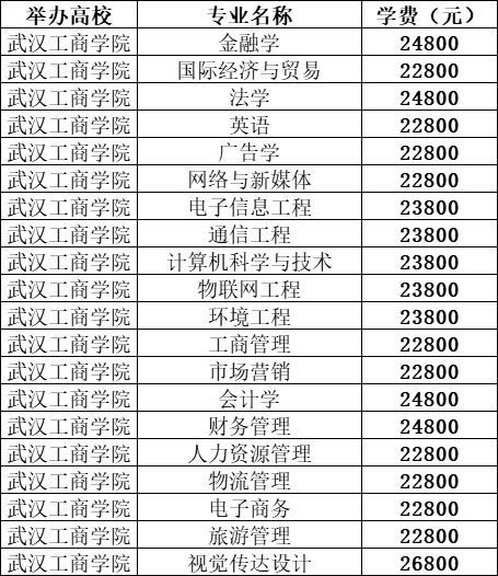 武漢工商學(xué)院學(xué)費(fèi)-圖1
