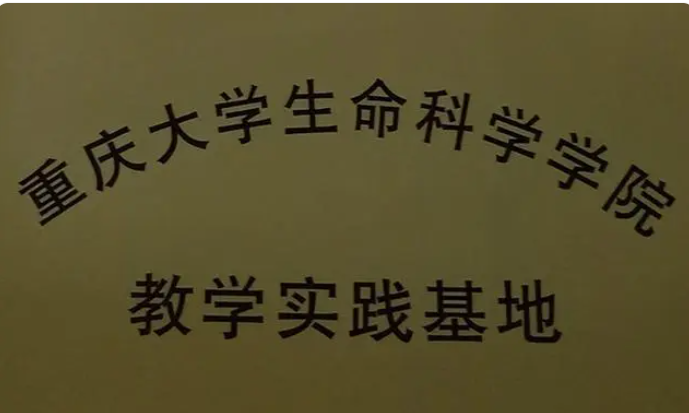 重慶孩子叛逆不上學怎么辦？來重慶環帝錦輝青少年叛逆教育基地-圖6