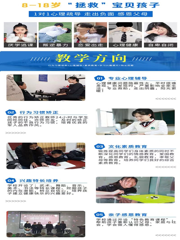 青少年網癮與叛逆問題：優選教育學校指南-圖3