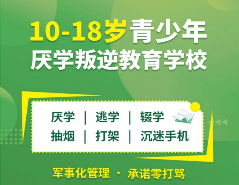 受好評的正規(guī)改變叛逆網(wǎng)癮孩子的學(xué)校及青春期教育策略-圖2