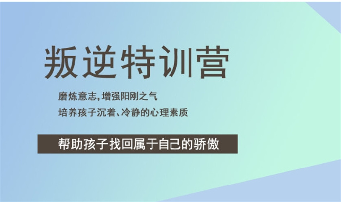 湖北孝感叛逆孩子網(wǎng)癮厭學(xué)教育學(xué)校：行業(yè)前十推薦 -圖2