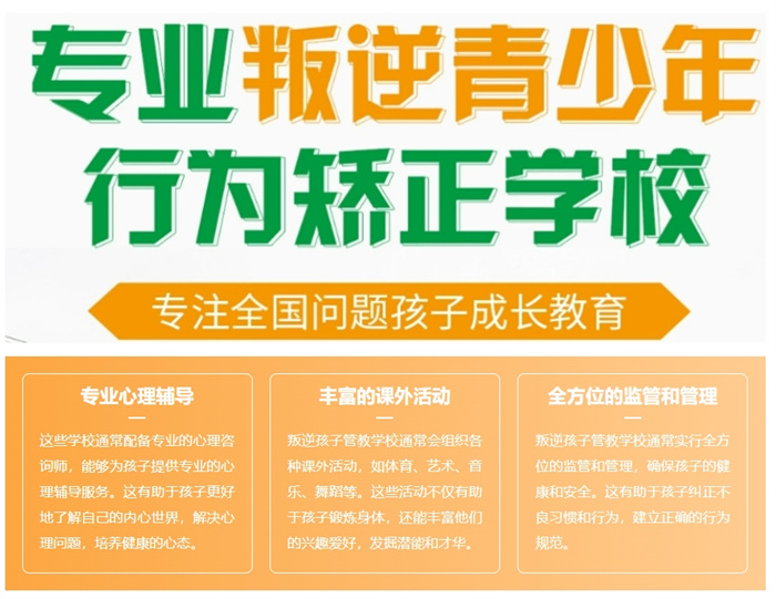 湖北隨州網癮少年心理疏導全方位管教學校-圖1