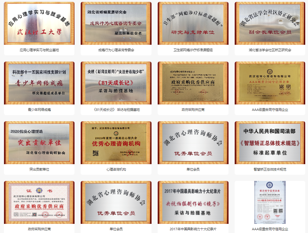 荊州地區正規的叛逆少年網癮糾正學校-幫助8000+孩子重返校園-圖4 荊州地區正規的叛逆少年網癮糾正學校-幫助8000+孩子重返校園-圖4