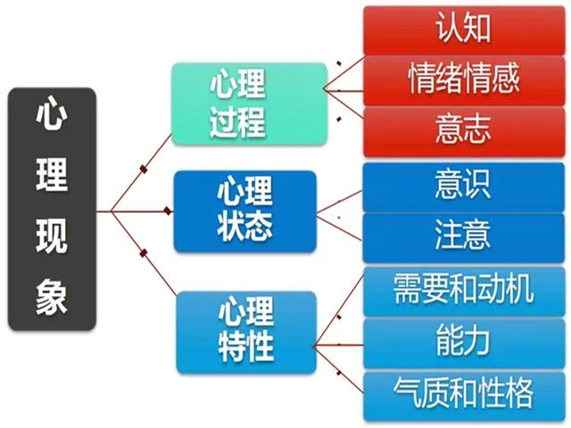 2025年中心協(xié)心理咨詢師怎么報名？-圖3