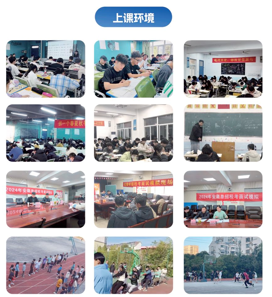 安徽省針對高中生分類單招文化課培訓班——提分快+專業指導（安徽單招網）-圖3