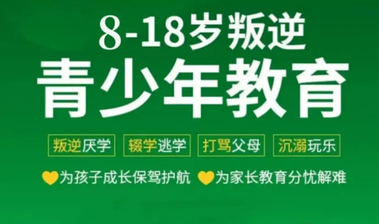 湖北地區(qū)問題青少年全封閉式特訓(xùn)營(叛逆厭學(xué)網(wǎng)癮管教學(xué)校)-圖3