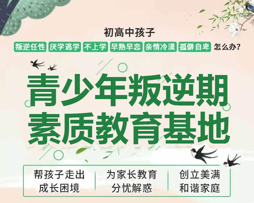 黃石地區問題青少年全封閉式特訓營(叛逆厭學網癮管教學校)-圖3