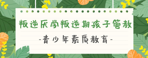 湖北武漢戒網癮學校推薦榜首:武漢紐特心理-圖1