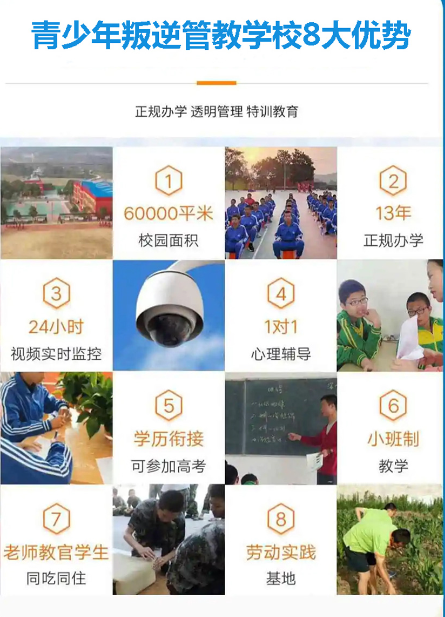 湖北武漢紐特心理孩子早戀網(wǎng)癮矯正學(xué)校-圖2