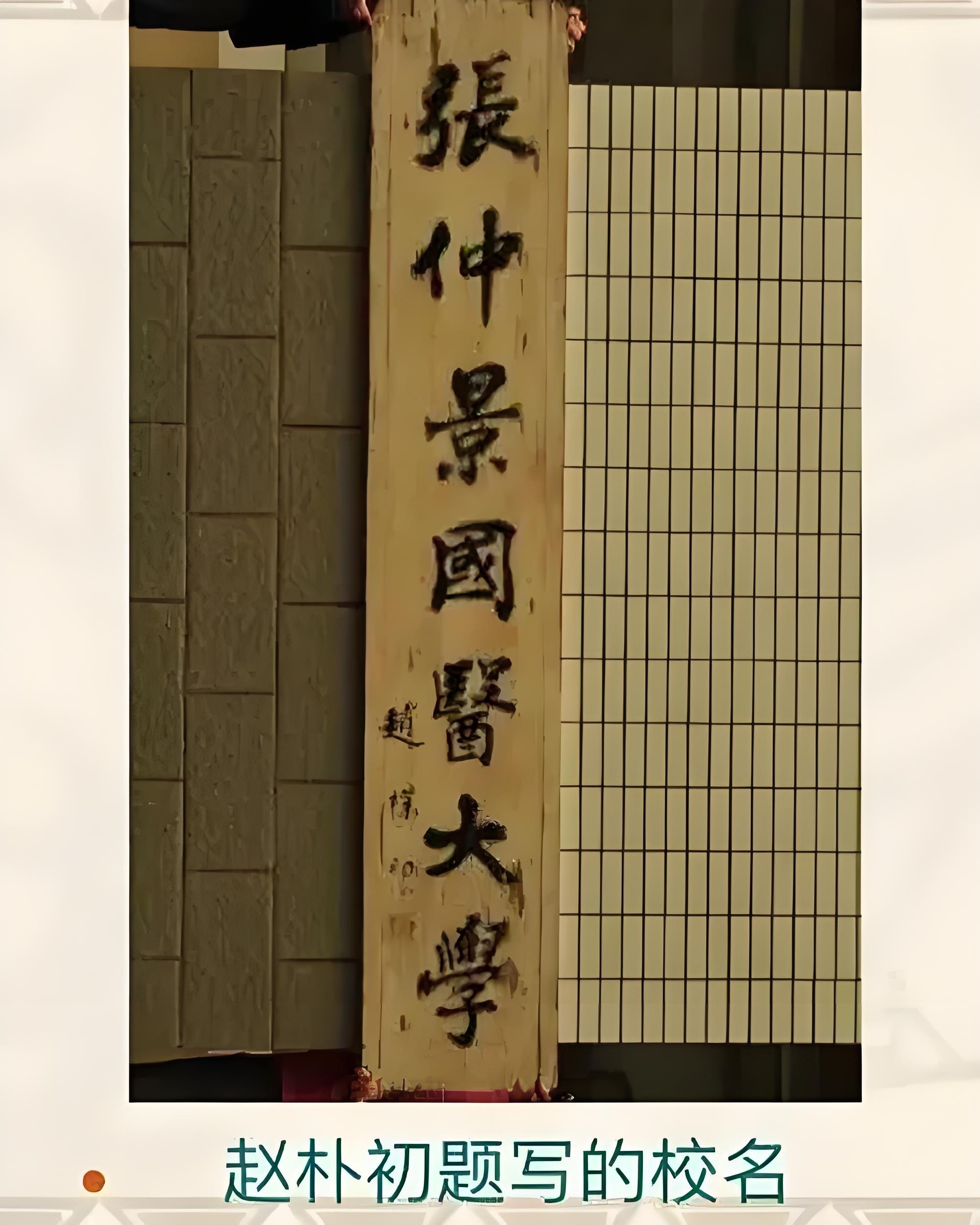 張仲景國醫學院分數線-圖1