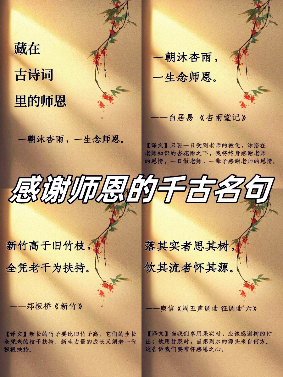 感恩教師的句子-圖1