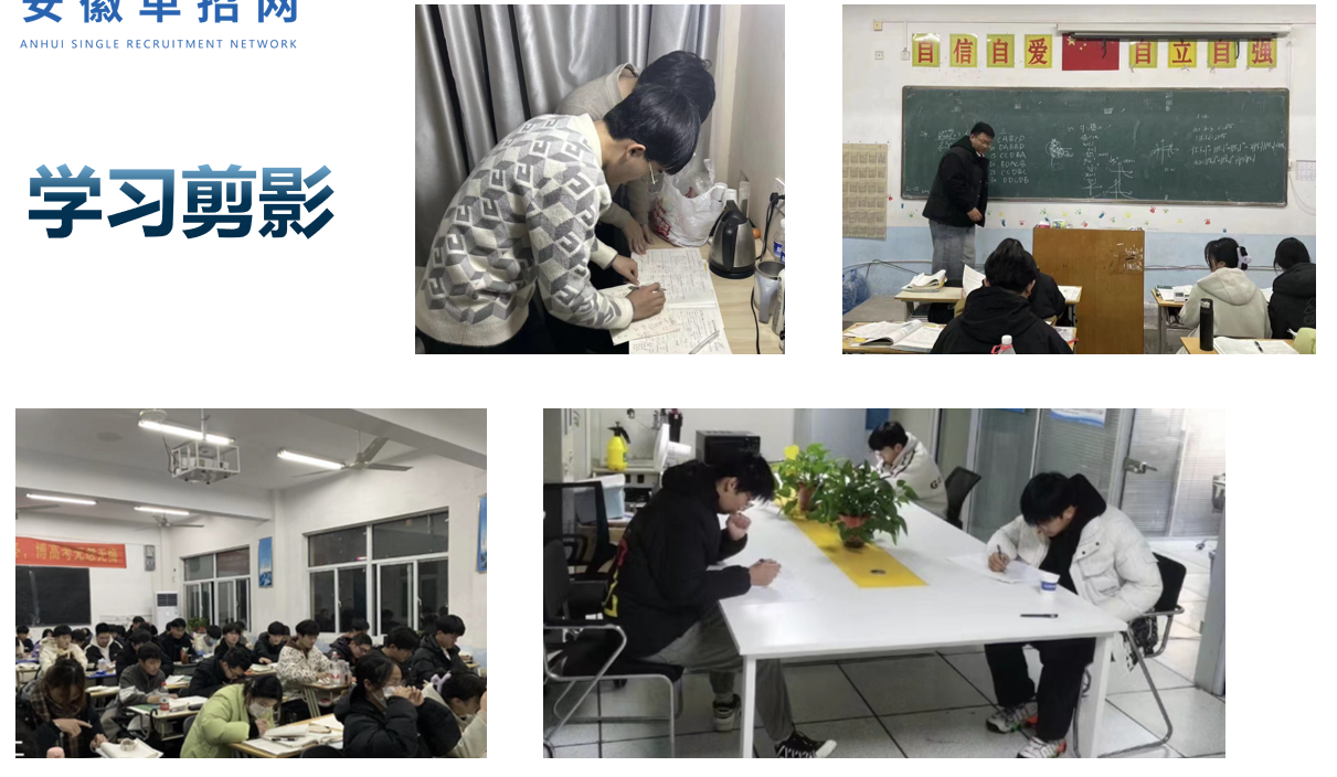 2025年安徽分類考試-安徽單招集訓(xùn)新選擇-系統(tǒng)培訓(xùn)，全面提升-圖2