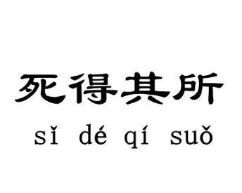 死得其所的所的意思-圖1