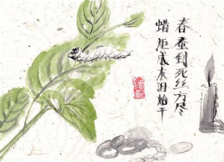 春蠶到死絲方盡意思-圖1