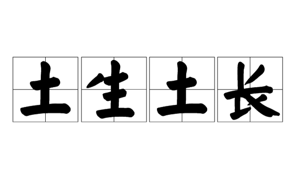 土生土長的意思-圖1