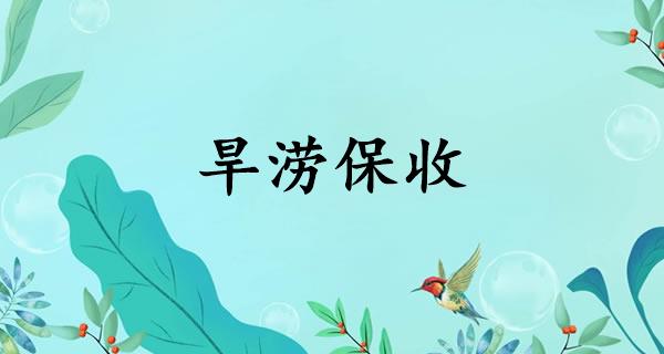 旱澇保收什么意思-圖1
