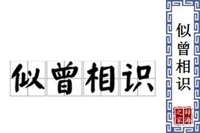 似曾相識的意思-圖1