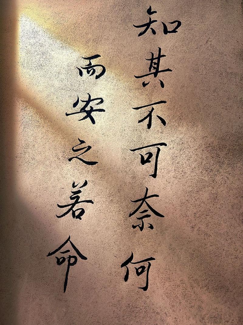 安之若命是什么意思_近義詞_來源-圖1