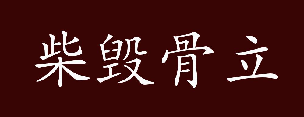 柴毀骨立是什么意思_近義詞_來源-圖1