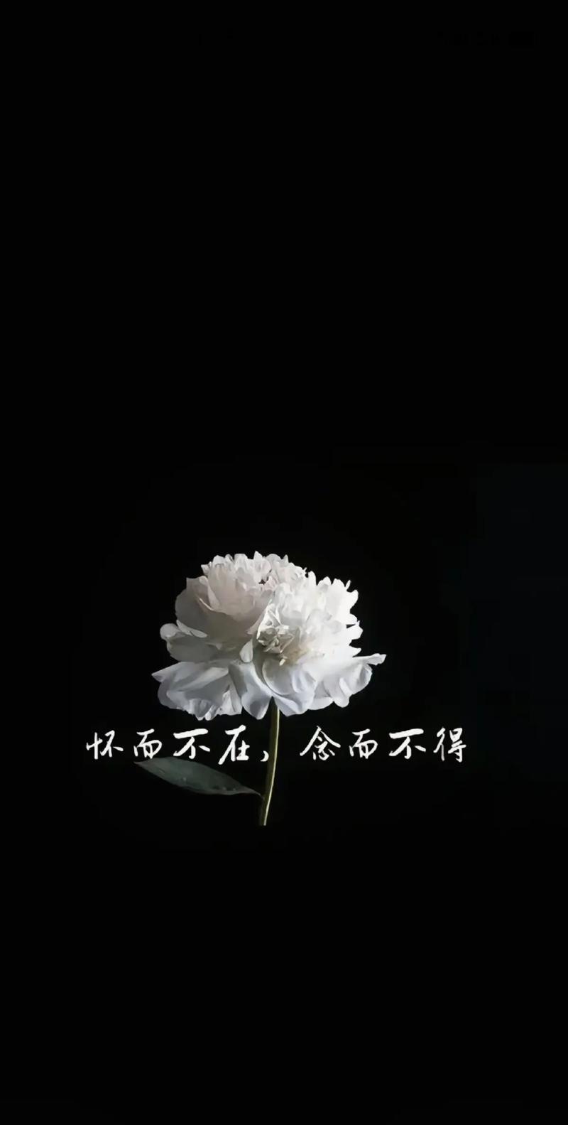 長眠不起的解釋_近義詞_反義詞-圖1