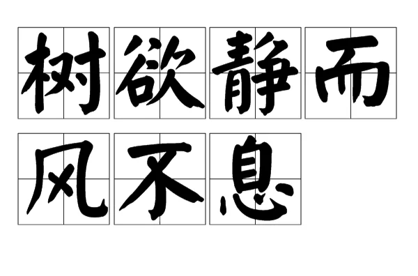 樹欲靜而風不停的解釋_近義詞_反義詞-圖1