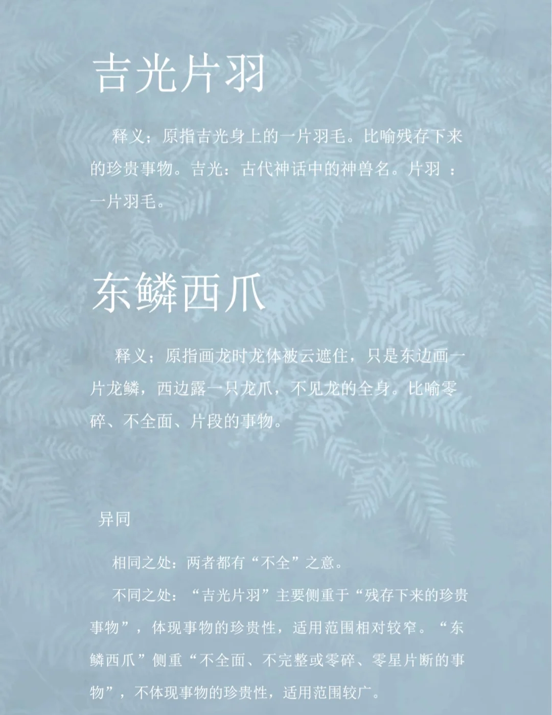 東鱗西爪的解釋_近義詞_反義詞-圖1