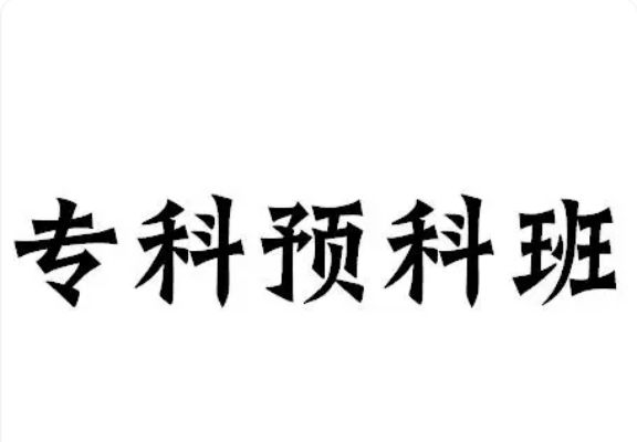 2025年安徽安慶單招落榜補救方案——安徽工貿(mào)預(yù)國際科班報名全攻略-圖1