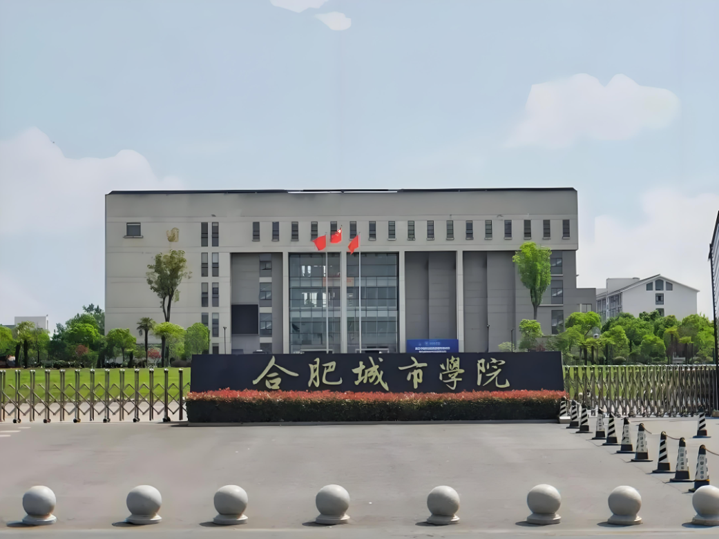 2025年成考專升本合肥城市學院財務管理專業政策解析：報名條件與流程全攻略-圖1