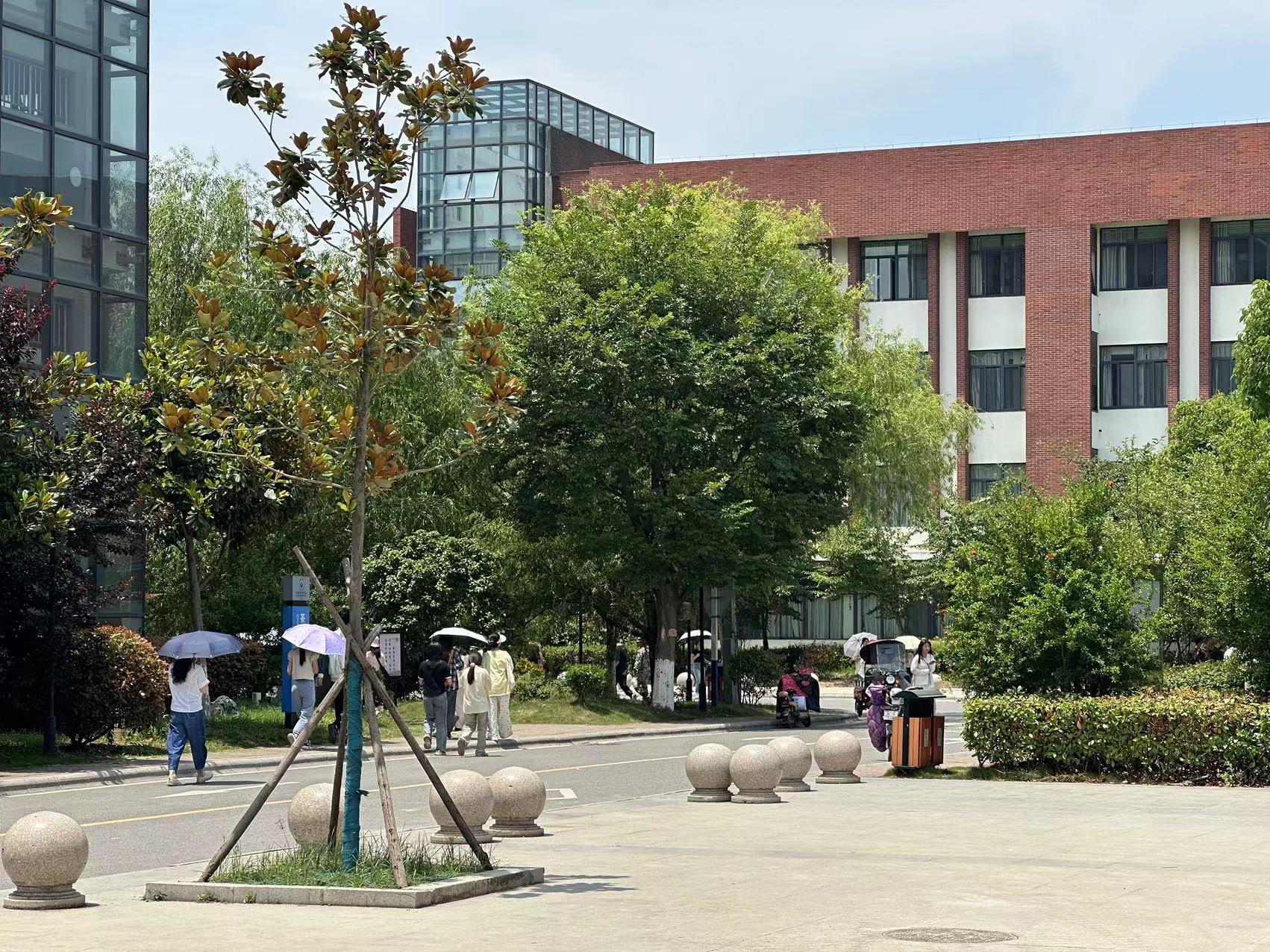 2025年安徽中考擇校指南：舒城一中師資力量與升學率深度解析-圖1