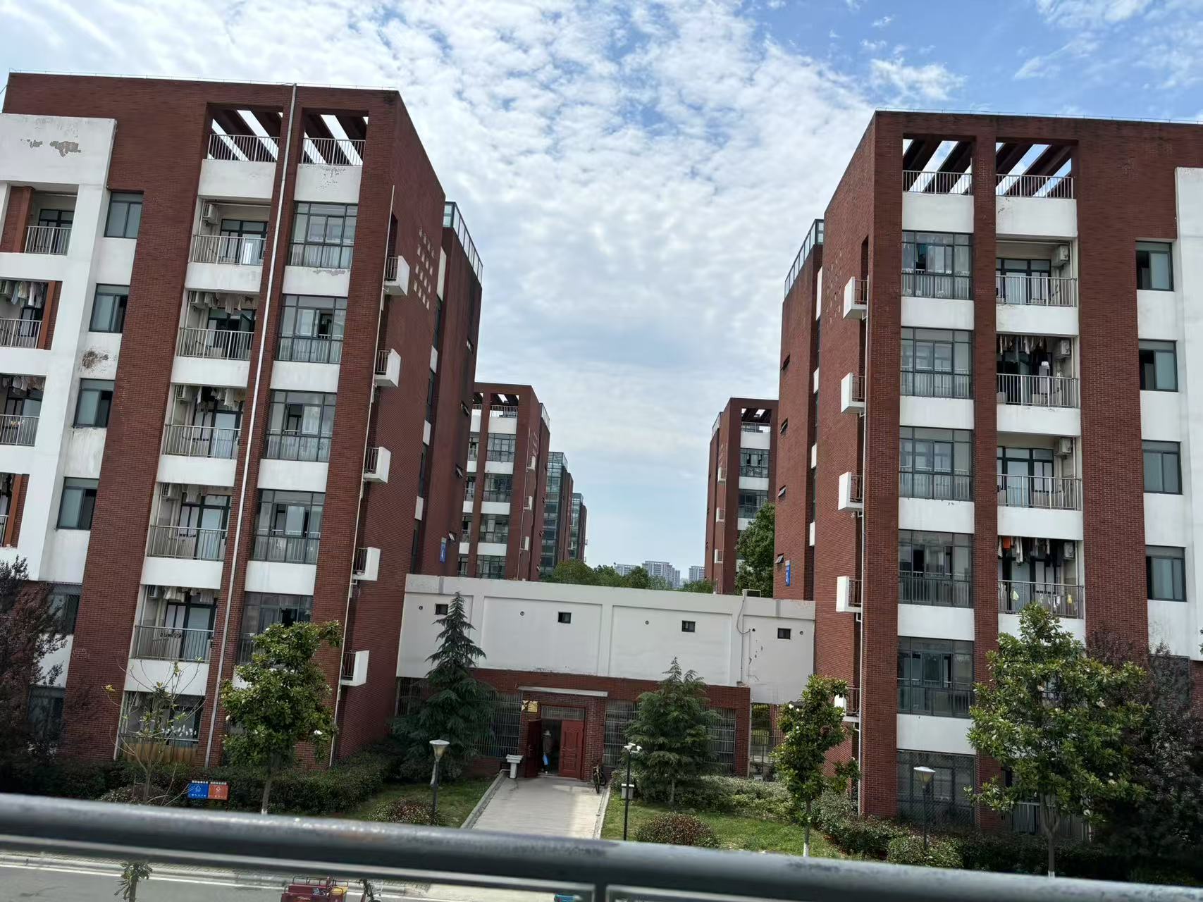 職普融通班招生新政！2025舒城一中報名條件及培養(yǎng)方向-圖1