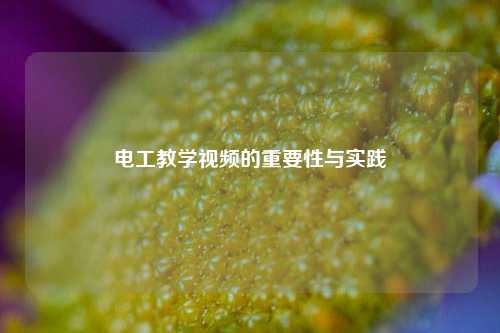 電工教學視頻的重要性與實踐-圖1