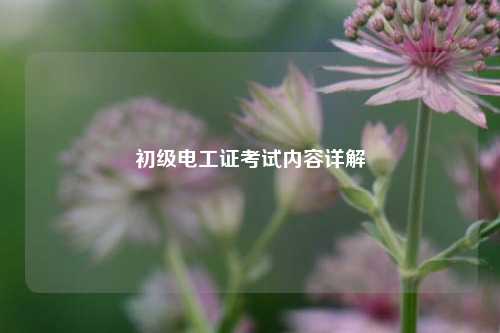 初級電工證考試內(nèi)容詳解-圖1