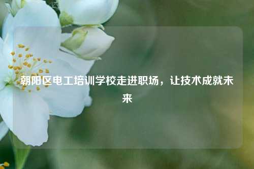 朝陽區電工培訓學校走進職場，讓技術成就未來-圖1