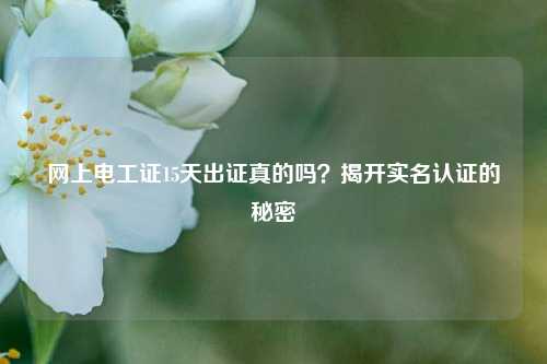 網上電工證15天出證真的嗎？揭開實名認證的秘密-圖1