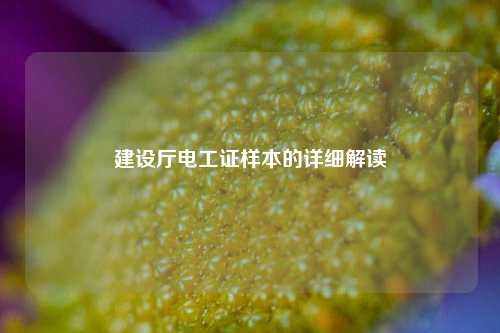 建設(shè)廳電工證樣本的詳細(xì)解讀-圖1
