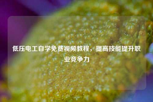 低壓電工自學免費視頻教程，提高技能提升職業競爭力-圖1