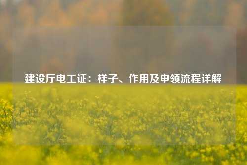 建設(shè)廳電工證：樣子、作用及申領(lǐng)流程詳解-圖1
