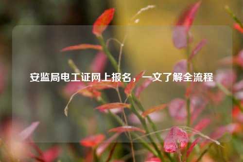 安監(jiān)局電工證網(wǎng)上報名，一文了解全流程-圖1