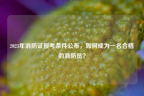 2023年消防證報考條件公布，如何成為一名合格的消防員？-圖1