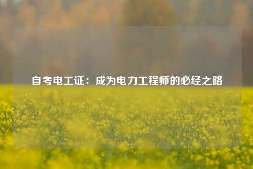 自考電工證：成為電力工程師的必經(jīng)之路-圖1