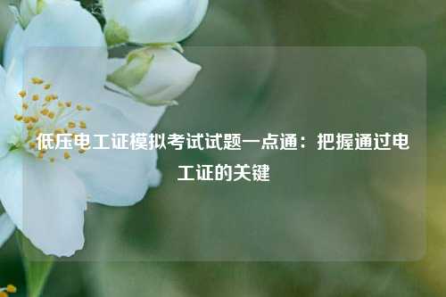 低壓電工證模擬考試試題一點通：把握通過電工證的關(guān)鍵-圖1