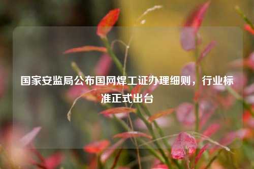 國家安監(jiān)局公布國網(wǎng)焊工證辦理細則，行業(yè)標準正式出臺-圖1