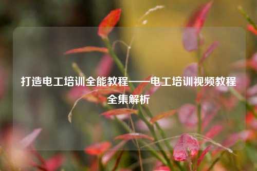 打造電工培訓全能教程——電工培訓視頻教程全集解析-圖1