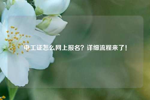 電工證怎么網上報名？詳細流程來了！-圖1