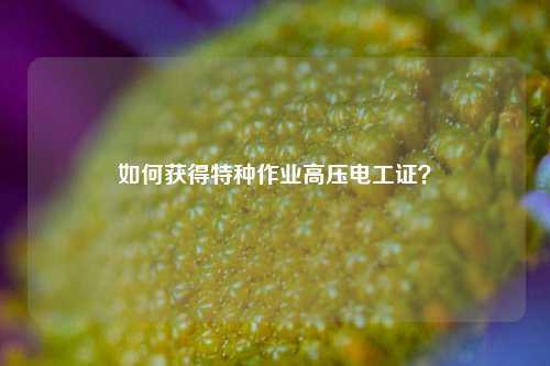 如何獲得特種作業(yè)高壓電工證？-圖1