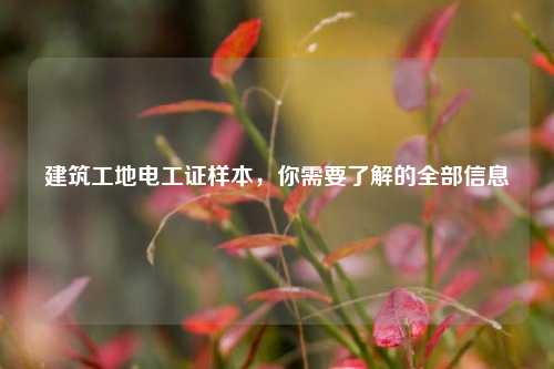 建筑工地電工證樣本，你需要了解的全部信息-圖1