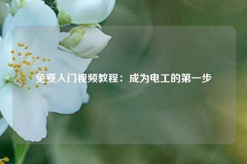免費(fèi)入門視頻教程：成為電工的第一步-圖1